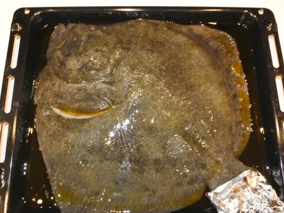 "Rombo al forno", oder einfach gesagt Steinbutt aus dem Ofen - Rezept - Bild Nr. 3