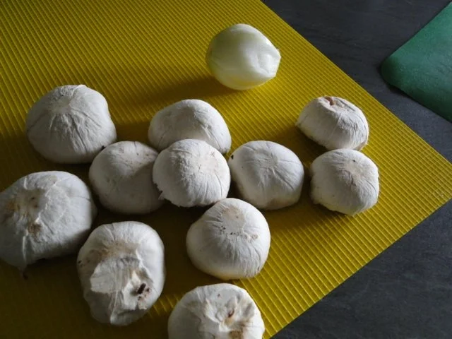 Hauptgang: fleischlos gefüllte Muschelnudeln - Rezept - Bild Nr. 2