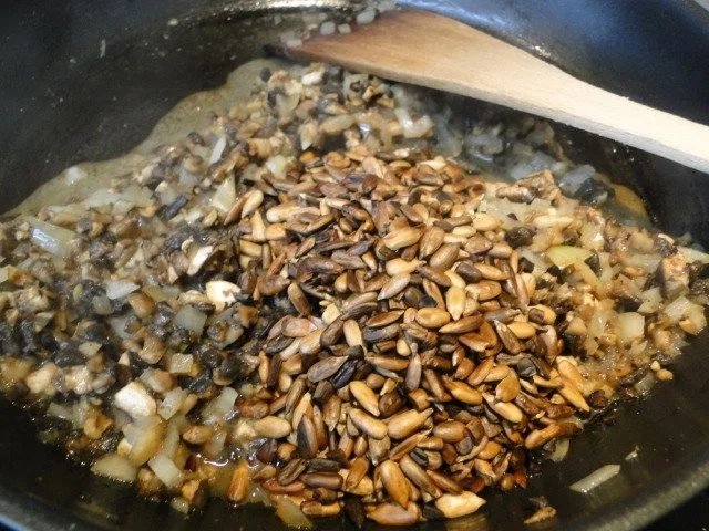 Hauptgang: fleischlos gefüllte Muschelnudeln - Rezept - Bild Nr. 11