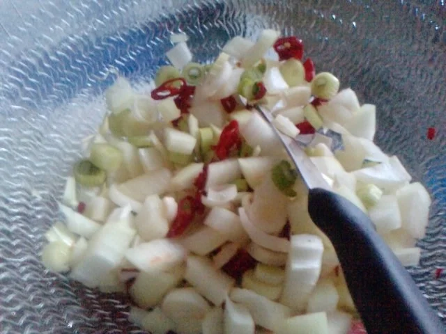 Zum 200sten!!! Ochs am Berg - Rezept - Bild Nr. 11