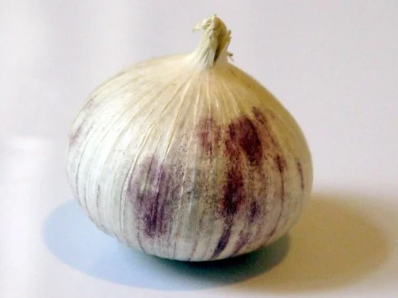 Osso Bucco - Rezept - Bild Nr. 3