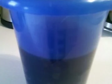 Geflügel: Wachteln mit schwarzem thailändischen Klebreis und Gorgonzola-Waldpilzsoße - Rezept - Bild Nr. 8