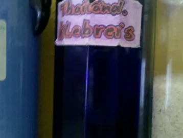 Geflügel: Wachteln mit schwarzem thailändischen Klebreis und Gorgonzola-Waldpilzsoße - Rezept - Bild Nr. 10