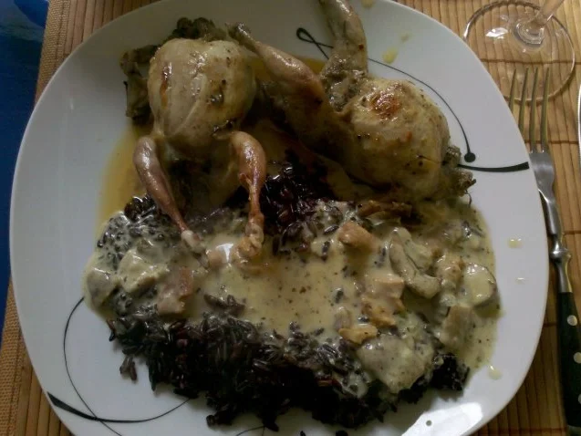 Geflügel: Wachteln mit schwarzem thailändischen Klebreis und Gorgonzola-Waldpilzsoße - Rezept - Bild Nr. 16