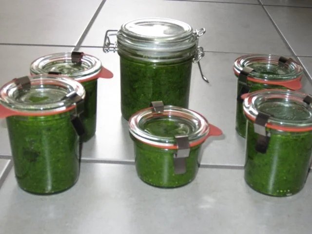 Rezept: Bärlauch-Pesto Bärlauch-Pesto - Rezept
