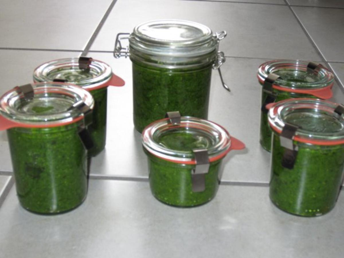 Bärlauch Pesto - schnell &amp; einfach - 361 kcal/100g