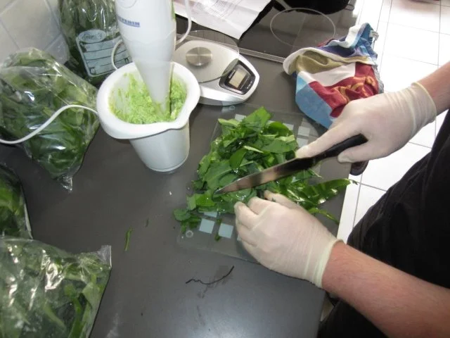Rezept: Bärlauch-Pesto Bild Nr. 3 Bärlauch-Pesto - Rezept - Bild Nr. 3
