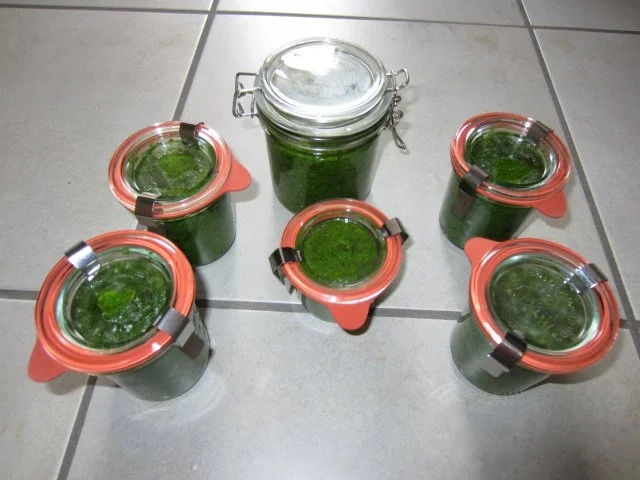 Rezept: Bärlauch-Pesto Bild Nr. 4 Bärlauch-Pesto - Rezept - Bild Nr. 4