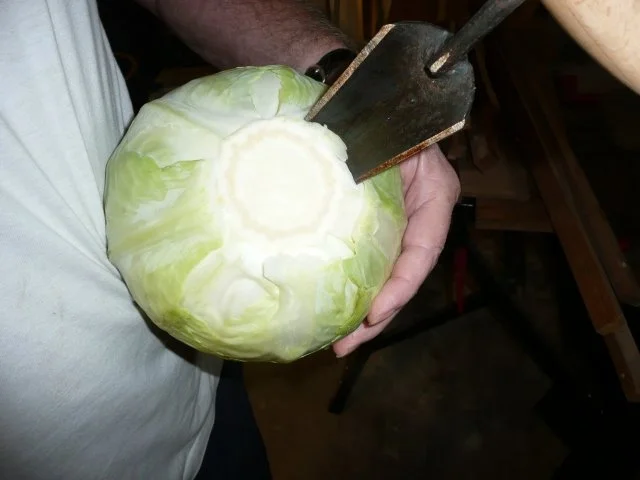 Sauerkraut einschneiden ( selber herstellen) !! - Rezept