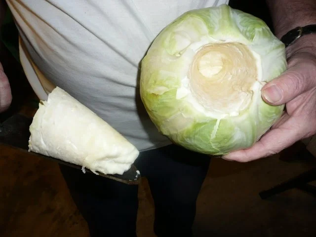 Sauerkraut einschneiden ( selber herstellen) !! - Rezept - Bild Nr. 2