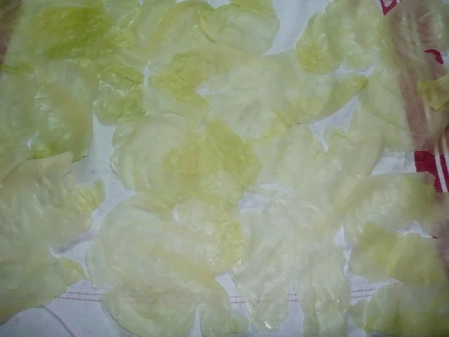 Rezept: Krautwickel Bild Nr. 13 Krautwickel - Rezept - Bild Nr. 13