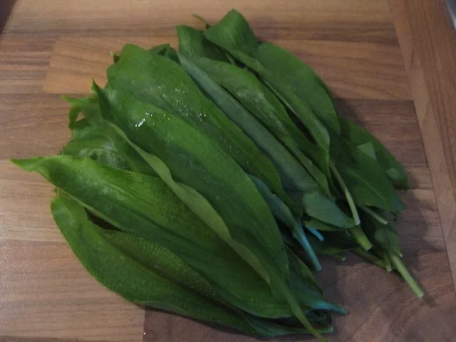 Putenröllchen und Champignons gefüllt mit Bärlauch-Creme - Rezept - Bild Nr. 2