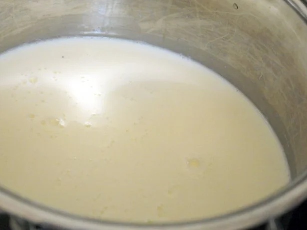 Rezept: Schokoladenmilchreis mit Tonkabohne und Erdbeeren Bild Nr. 6 Schokoladenmilchreis mit Tonkabohne und Erdbeeren - Rezept - Bild Nr. 6