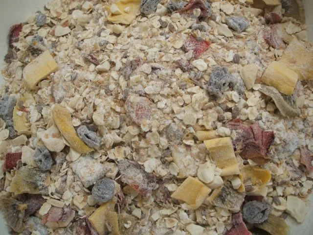 Vorrat: Müslimischung mit selbstgemachten Obstchips - Rezept