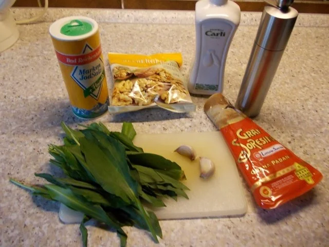 Pasta mit Bärlauchpesto - Rezept - Bild Nr. 2