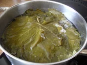 Gefüllte Weinblätter - türkische Spezialität - für`s  kalte Buffet mit türkischen Freunden - Rezept