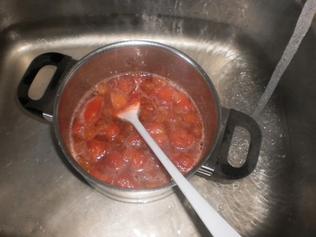 Rezept: Kokos-Risotto mit Kompott Bild Nr. 5 Kokos-Risotto mit Kompott - Rezept - Bild Nr. 5