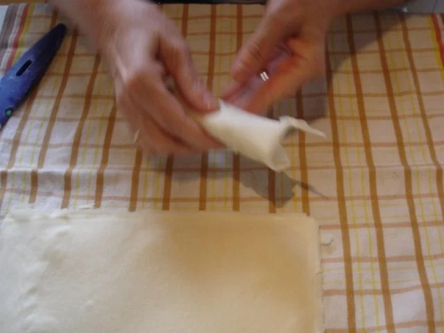 Frühlingsrollen mit Spargel - Rezept - Bild Nr. 23