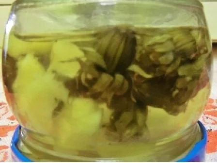 Eingelegt: Löwenzahn-Ingwer-Kapern - Rezept - Bild Nr. 4