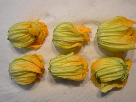 Gefüllte Zucchiniblüten - Rezept - Bild Nr. 3