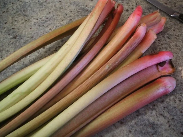 Rezept: Vorrat: Rhabarberverarbeitung Vorrat: Rhabarberverarbeitung - Rezept