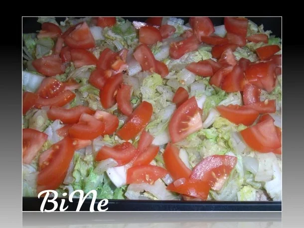 BiNe` S CHINAKOHL - SCHAFSKÆSE - AUFLAUF - Rezept - Bild Nr. 6