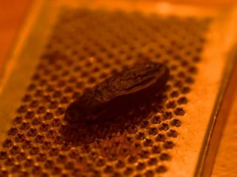 Rezept: Panna Tonka mit warmem Schokoküchlein Bild Nr. 2 Panna Tonka mit warmem Schokoküchlein - Rezept - Bild Nr. 2