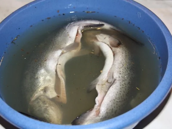 Geräucherte Forelle - Rezept - Bild Nr. 3