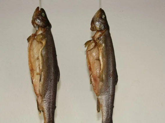 Geräucherte Forelle - Rezept - Bild Nr. 5