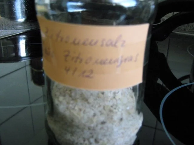 Zitronensalz nur mit Zitronengras - Rezept - Bild Nr. 4