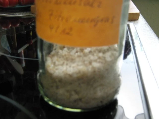 Zitronensalz nur mit Zitronengras - Rezept - Bild Nr. 5