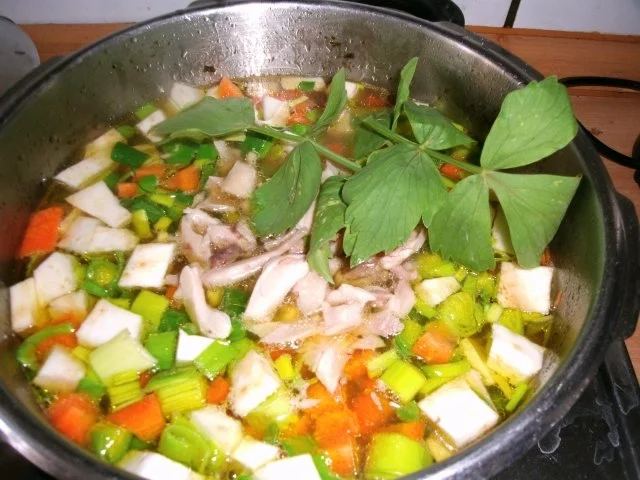 Hühnereintopf - Rezept - Bild Nr. 2