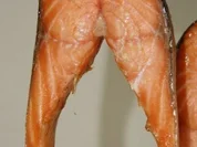 Lachs Geräuchert - Rezept