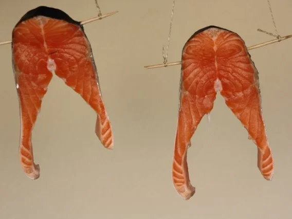 Rezept: Lachs Geräuchert Bild Nr. 6 Lachs Geräuchert - Rezept - Bild Nr. 6