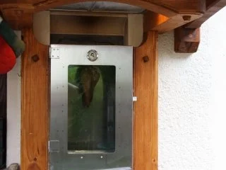 Rezept: Schweinekamm Räuchern Bild Nr. 5 Schweinekamm Räuchern - Rezept - Bild Nr. 5