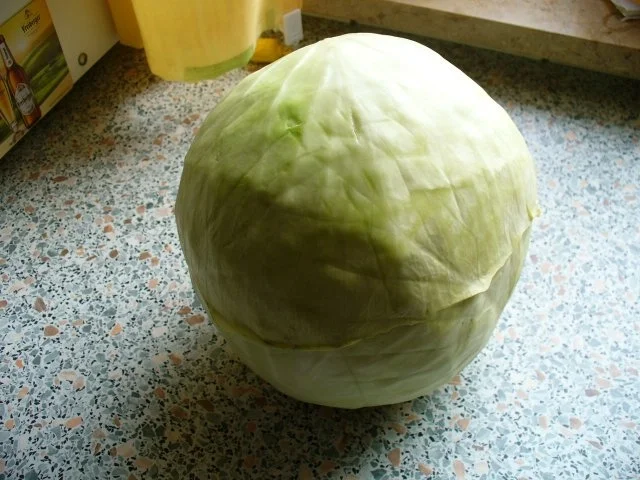 Rezept: Weißkrautsalat Bild Nr. 2 Weißkrautsalat - Rezept - Bild Nr. 2