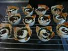 TAPAS / VEGI :Filoteigmuffinkörbchen mit Spinat & Ziege - Rezept