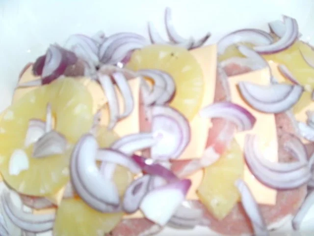 Ananas-Schnitzel für Eilige - Rezept - Bild Nr. 6