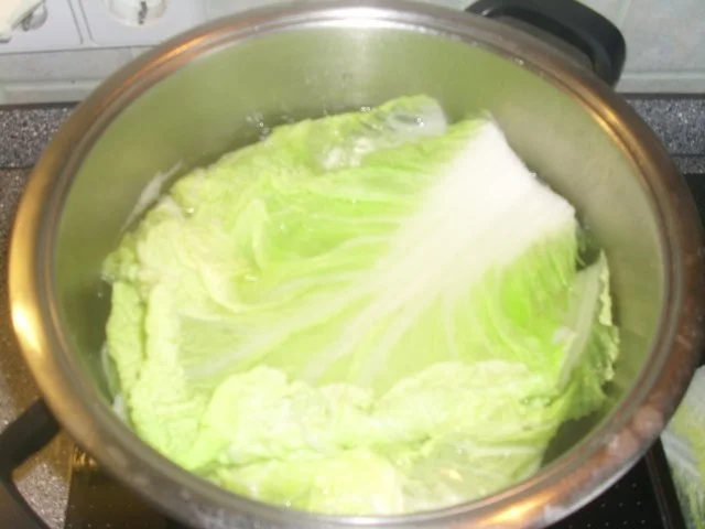 Chinakohlrouladen - Rezept - Bild Nr. 4