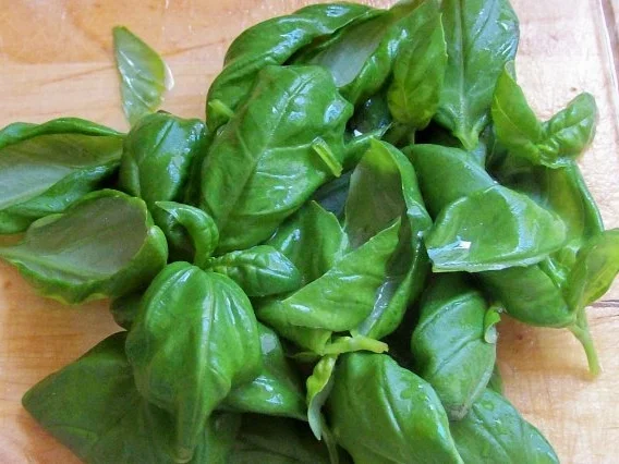 Salade Surprise: mit Trauben, Kirschen, Nektarinen und Basilikum - Rezept - Bild Nr. 2