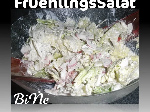 Rezept: BiNe` S FRUEHLINGSSALAT Bild Nr. 8 BiNe` S FRUEHLINGSSALAT - Rezept - Bild Nr. 8