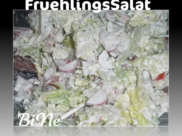 Rezept: BiNe` S FRUEHLINGSSALAT Bild Nr. 2 BiNe` S FRUEHLINGSSALAT - Rezept - Bild Nr. 2