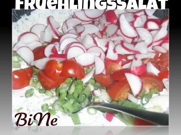 Rezept: BiNe` S FRUEHLINGSSALAT BiNe` S FRUEHLINGSSALAT - Rezept