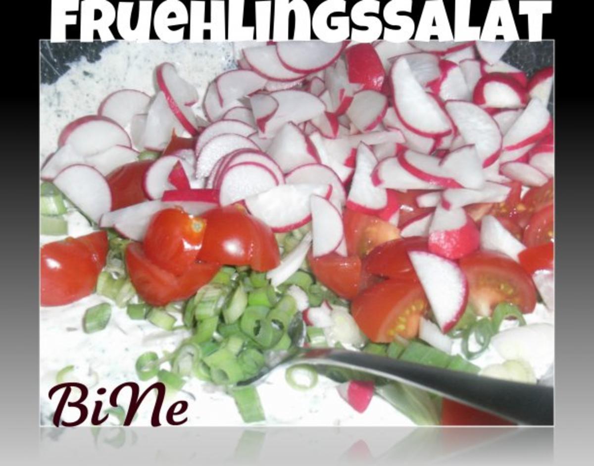 Bilder für BiNe` S FRUEHLINGSSALAT - Rezept