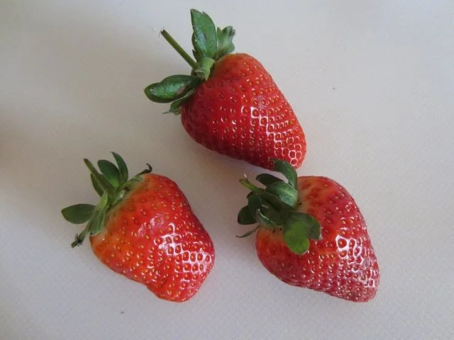 Knusper-Schoko-Erdbeer-Brötchen - Rezept - Bild Nr. 4