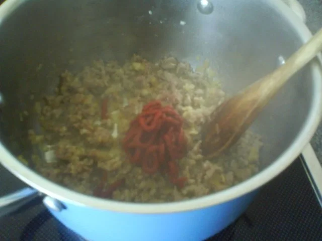 Bolognese Specialé - Rezept - Bild Nr. 4