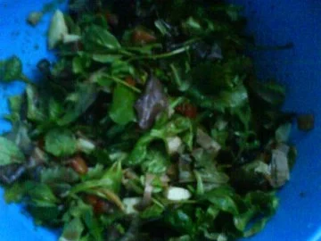 Herzhafter Pflücksalat - Rezept - Bild Nr. 4