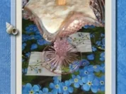 Dessert : Mandarinen - Quark mit Pina - Colada - Rezept