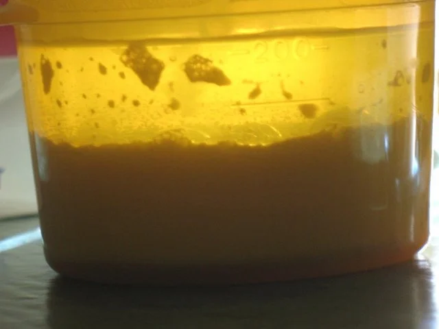 Rezept: Basics - Mayonnaise ohne Ei - ist es dann noch Mayonnaise? Bild Nr. 4 Basics - Mayonnaise ohne Ei - ist es dann noch Mayonnaise? - Rezept - Bild Nr. 4