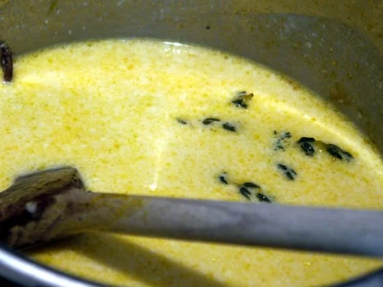 Lachs mit Tagliatelle, Orangen-Thymian-Sauce und grünem Spargel - Rezept - Bild Nr. 7